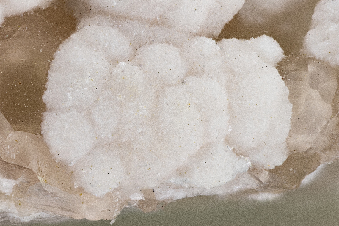Shinichengite & Imayoshiite
