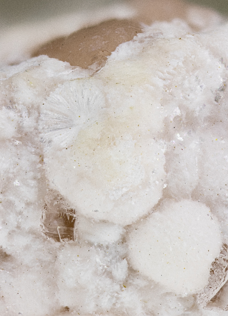 Shinichengite & Imayoshiite