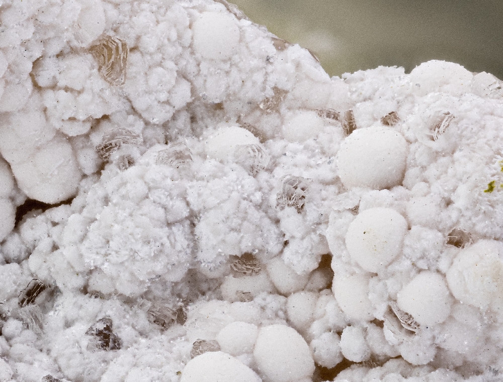 Shinichengite & Imayoshiite