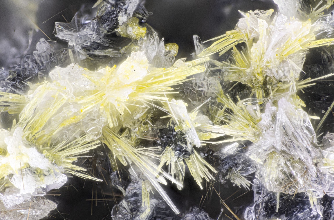 Rhabdoborite-(V) & Berzeliite