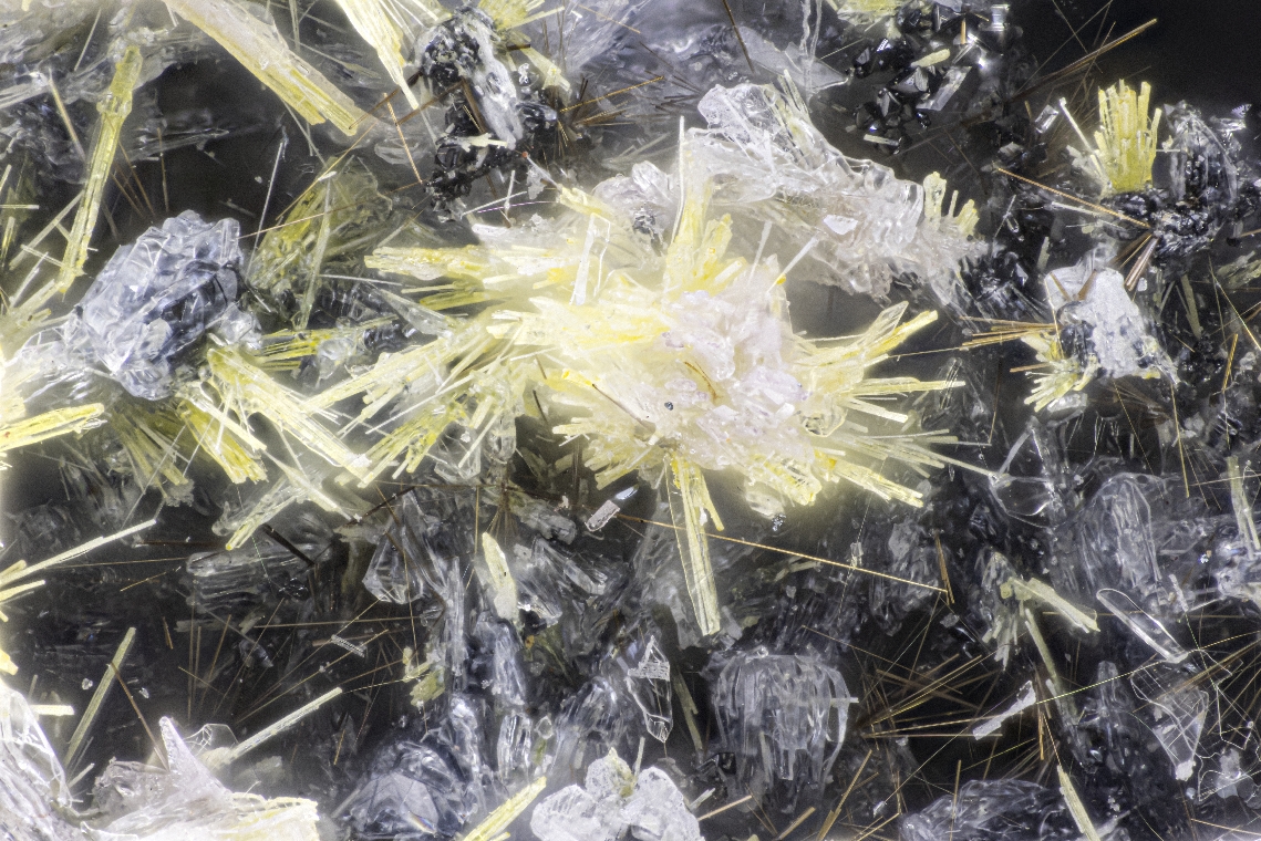 Rhabdoborite-(V) & Berzeliite