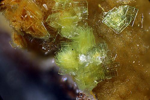 Anglesite & Autunite & Dewindtite
