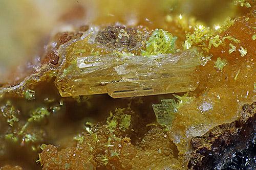 Anglesite & Autunite & Dewindtite
