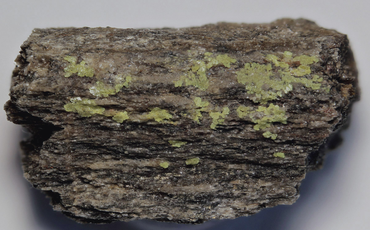 Liebigite