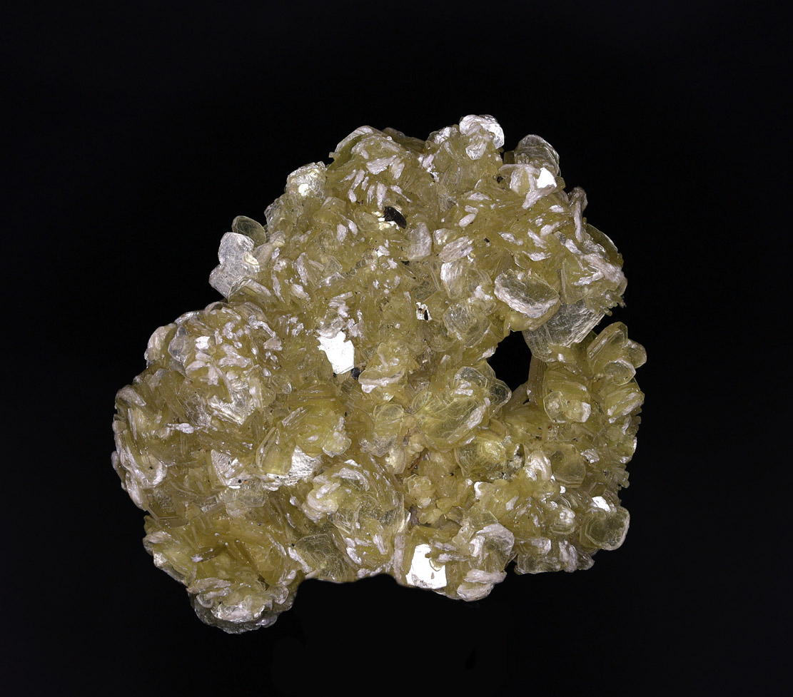 Muscovite