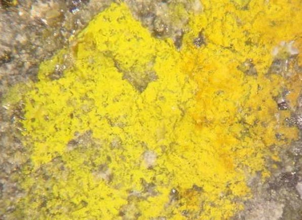 Greenockite