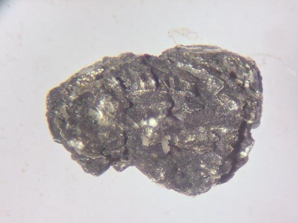 Native Osmium