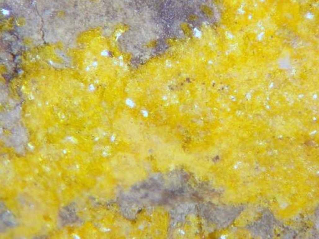 Schoderite