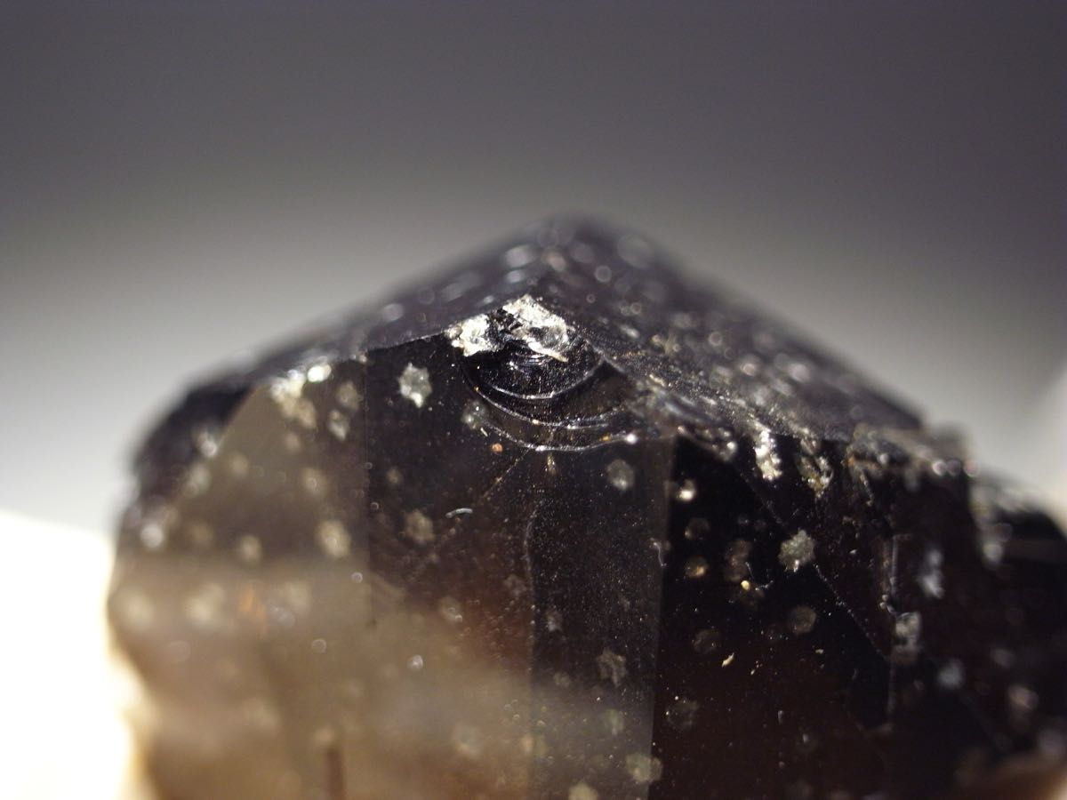 Orthoclase Albite Smoky Quartz & Muscovite
