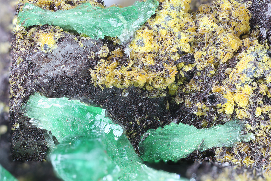 Cuprian Adamite Tsumcorite & Wulfenite