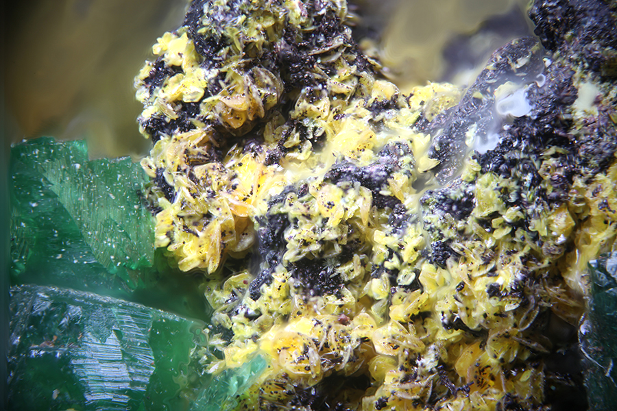 Cuprian Adamite Tsumcorite & Wulfenite