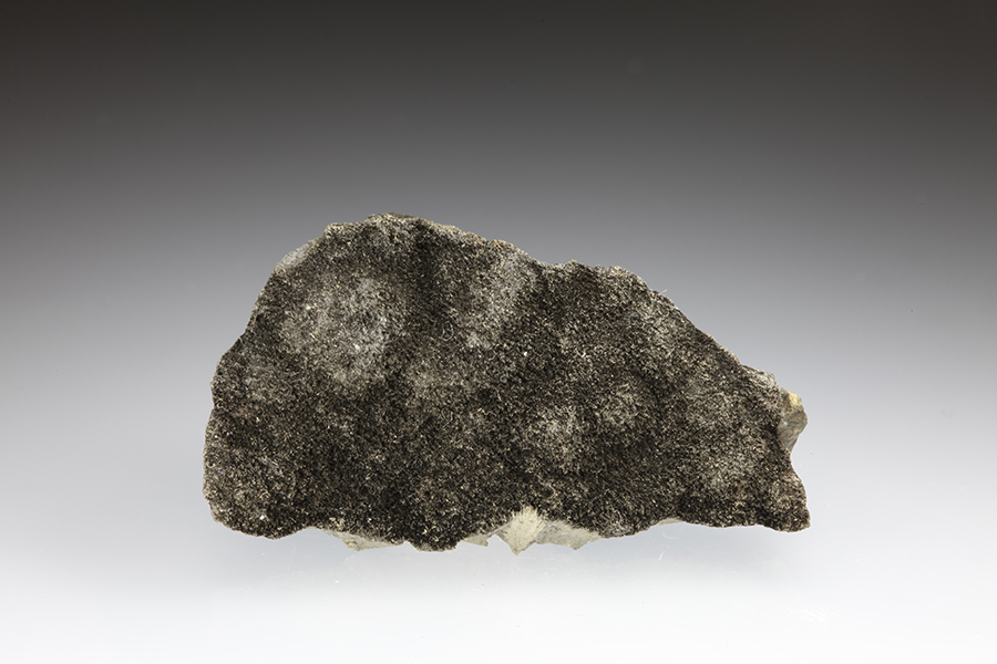 Millerite