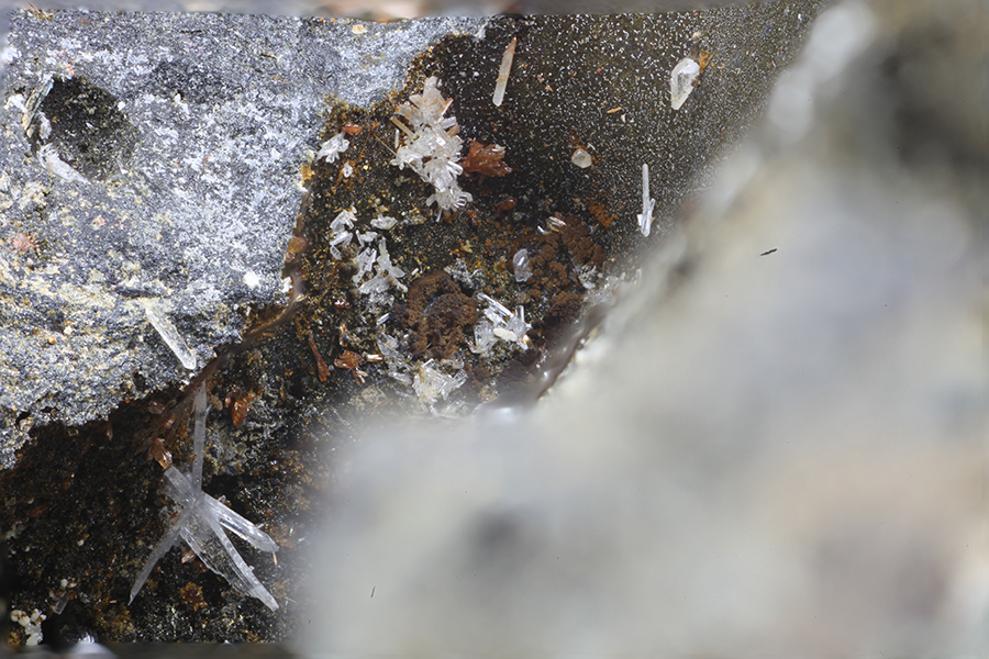Nealite Laurionite & Fiedlerite