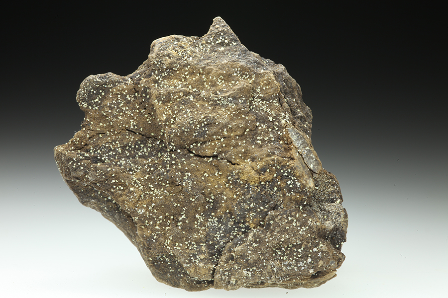 Rosickýite