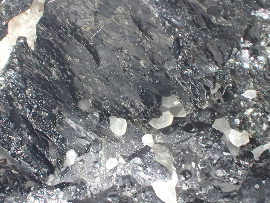 Pargasite