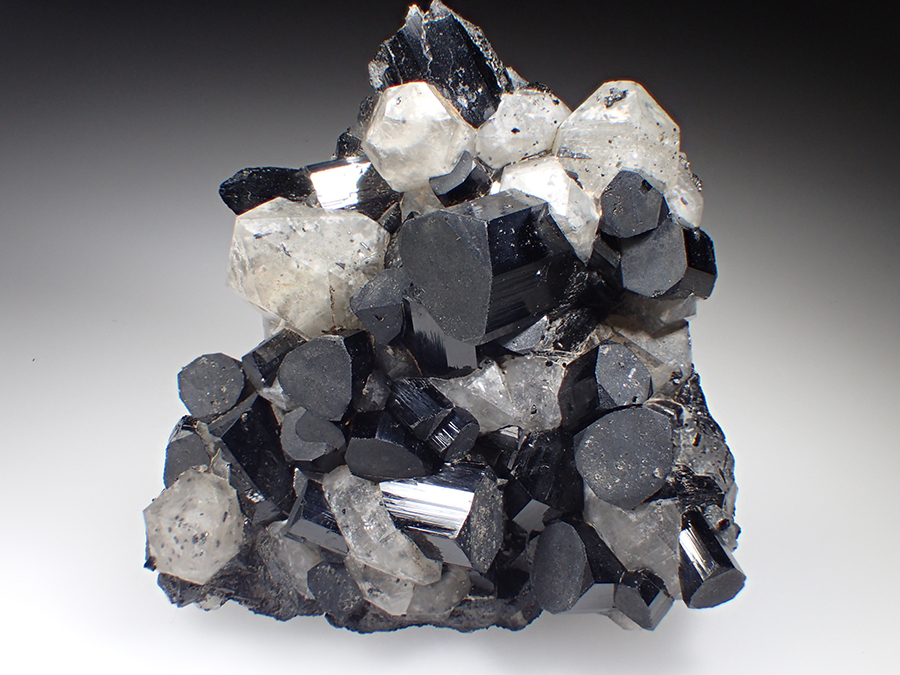 Schorl & Quartz