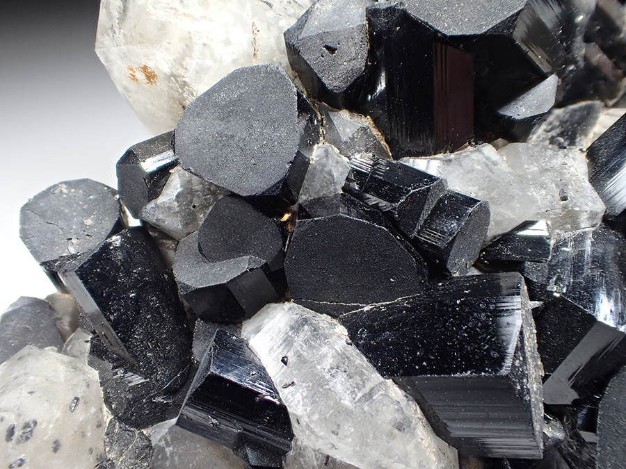 Schorl & Quartz
