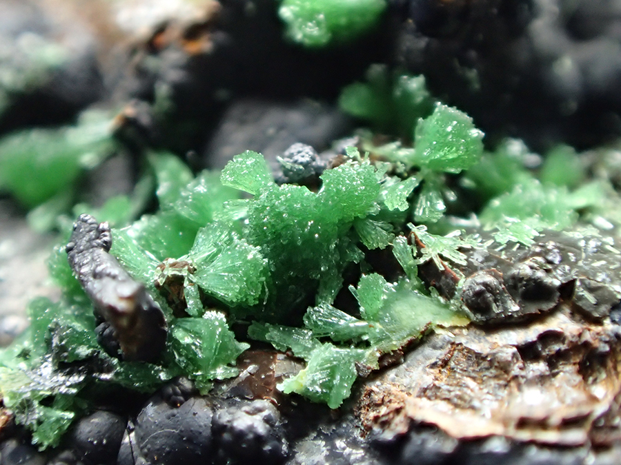 Zincolivenite