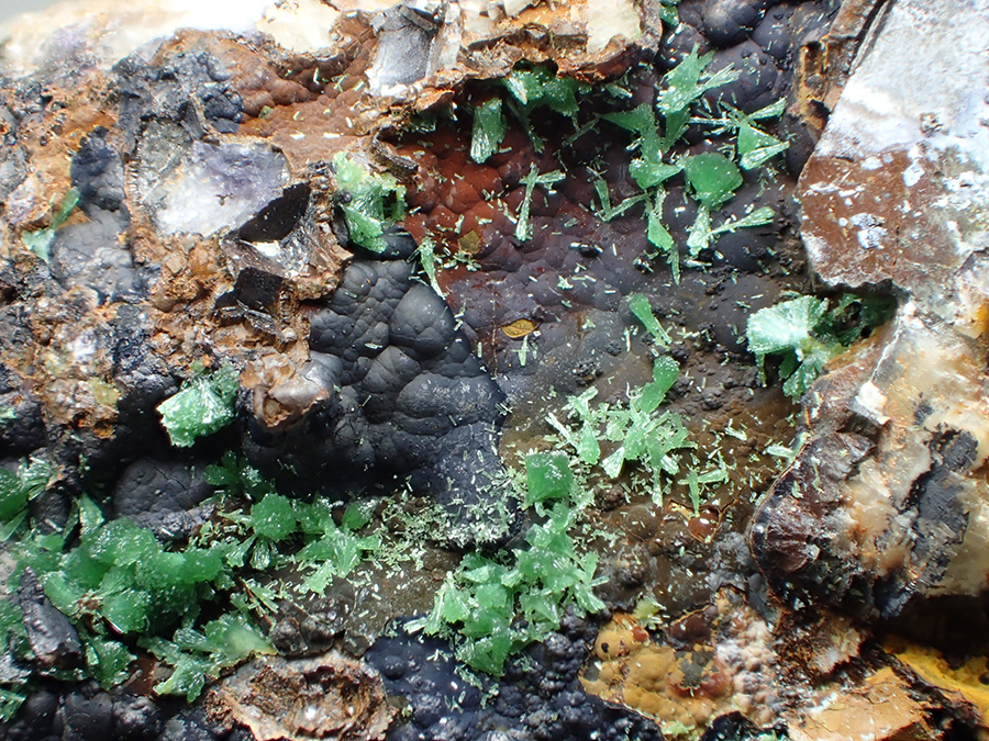 Zincolivenite