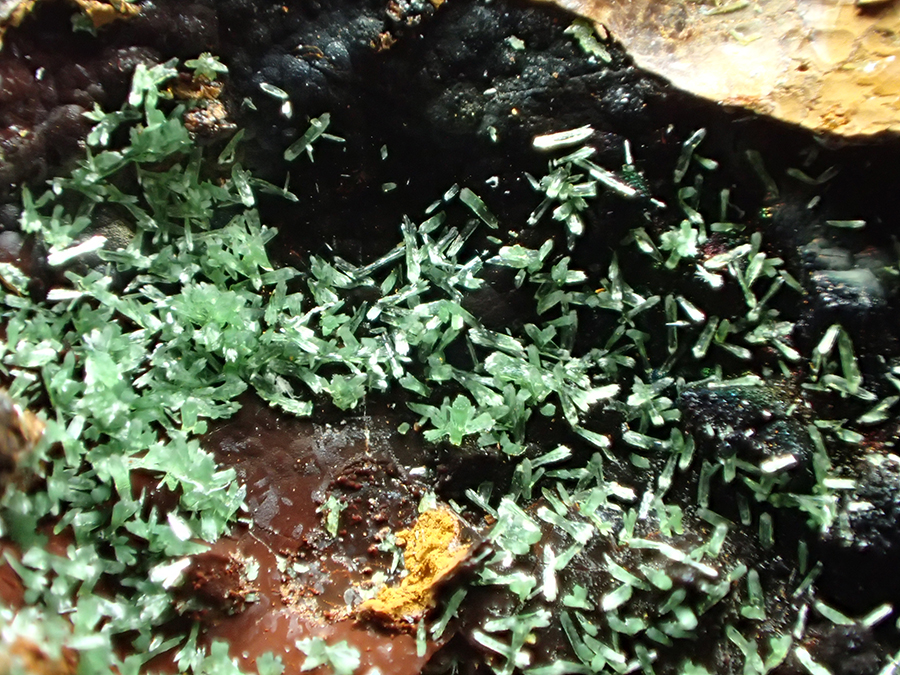 Zincolivenite