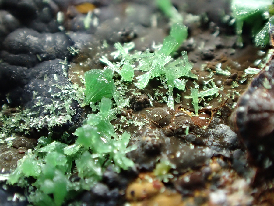 Zincolivenite