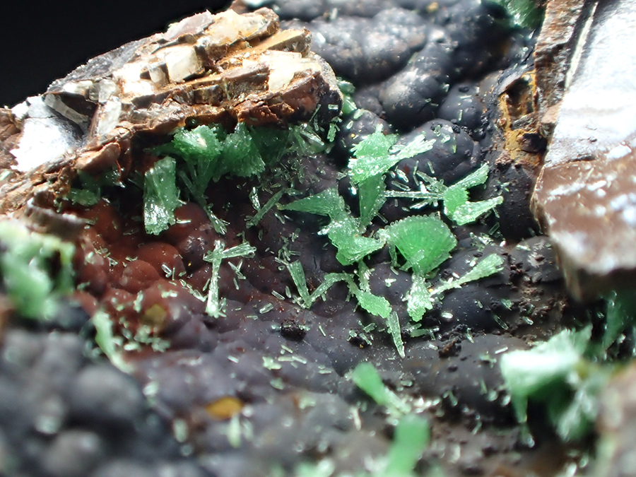 Zincolivenite