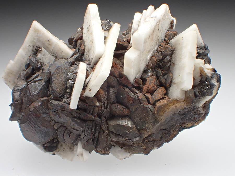 Baryte & Siderite