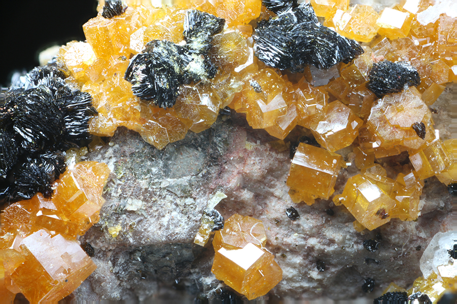 Vanadinite & Mottramite