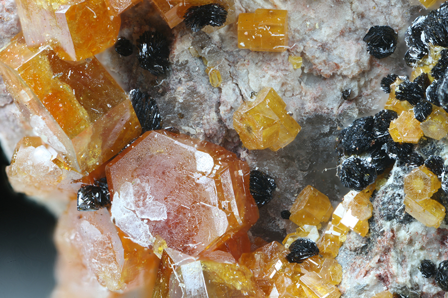 Vanadinite & Mottramite