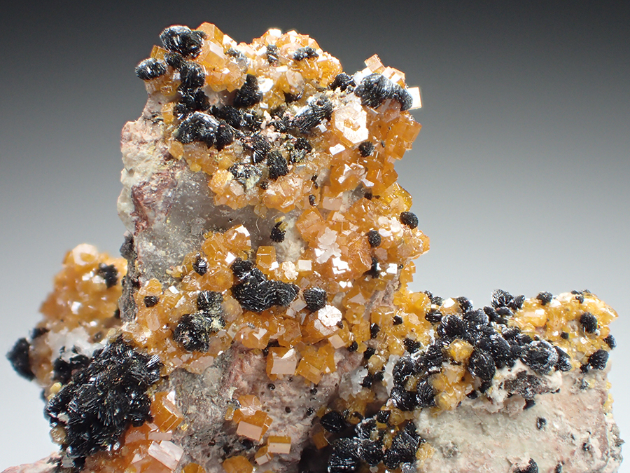 Vanadinite & Mottramite