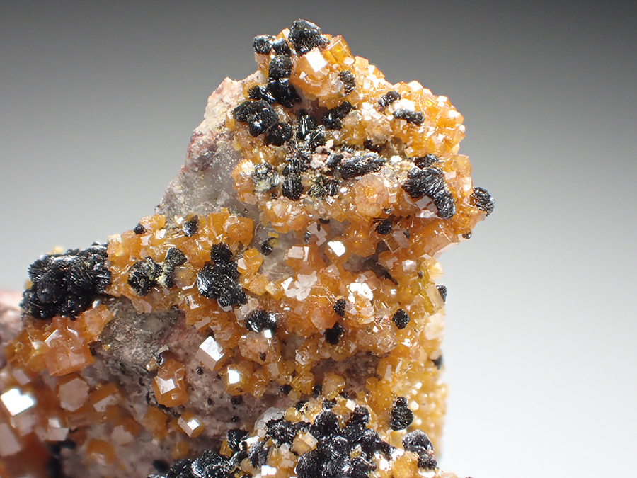 Vanadinite & Mottramite