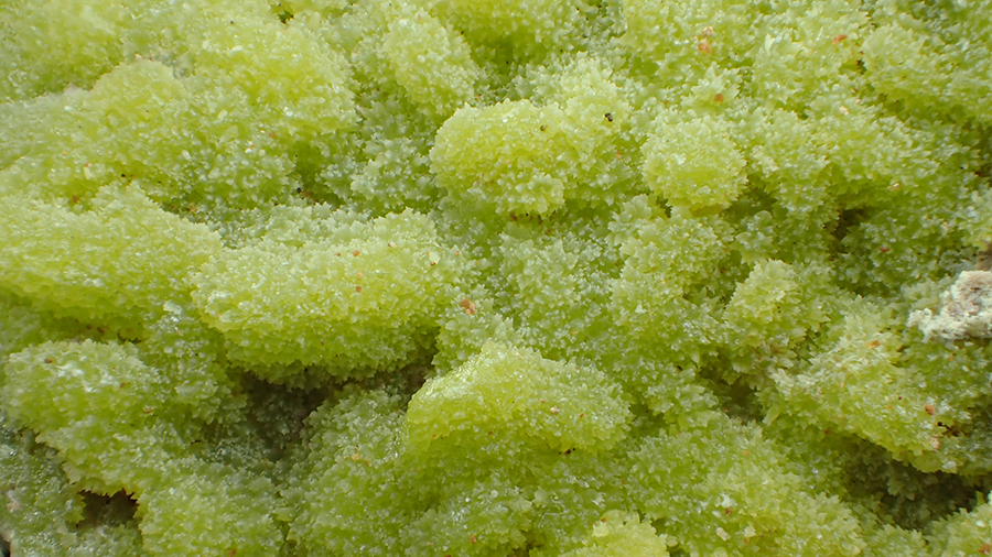 Pyromorphite