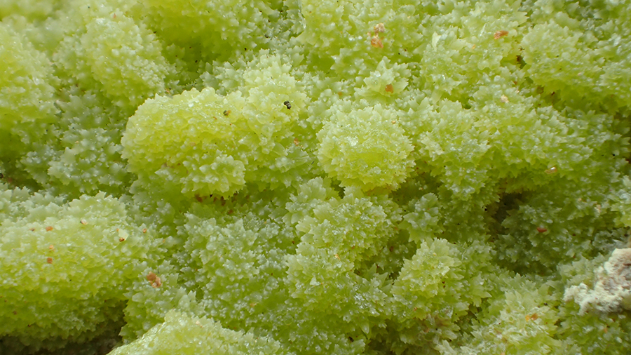 Pyromorphite