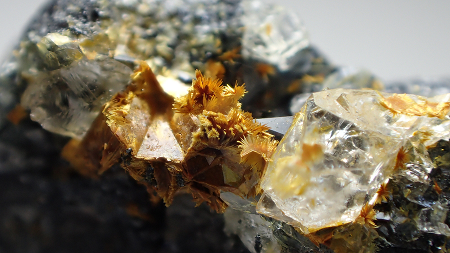 Karibibite