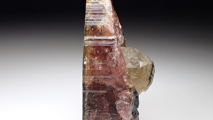 Danburite & Elbaite
