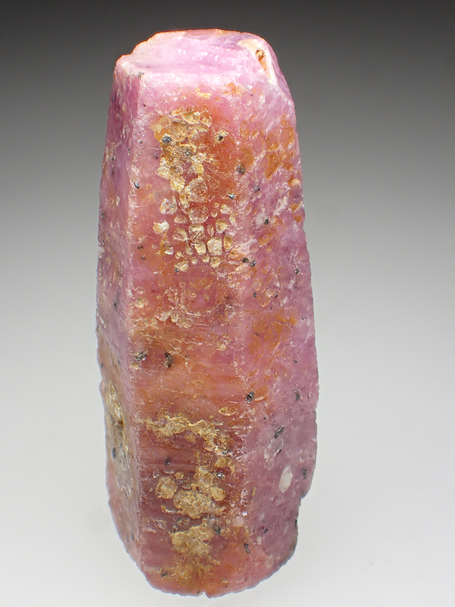 Corundum Var Ruby