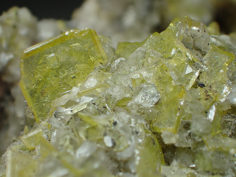 Wulfenite