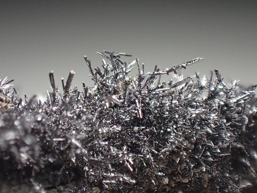 Selenium