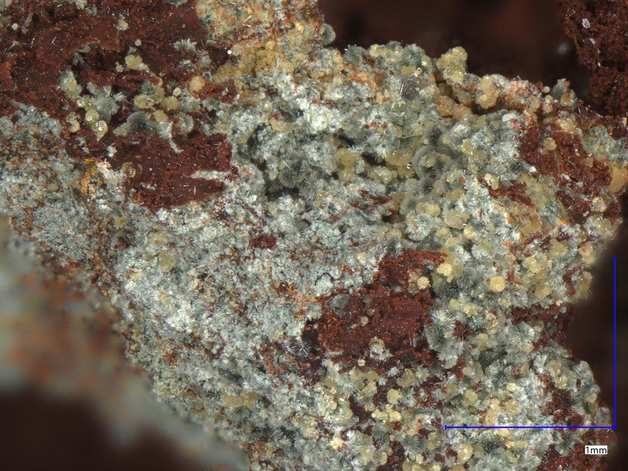 Tinticite & Strengite