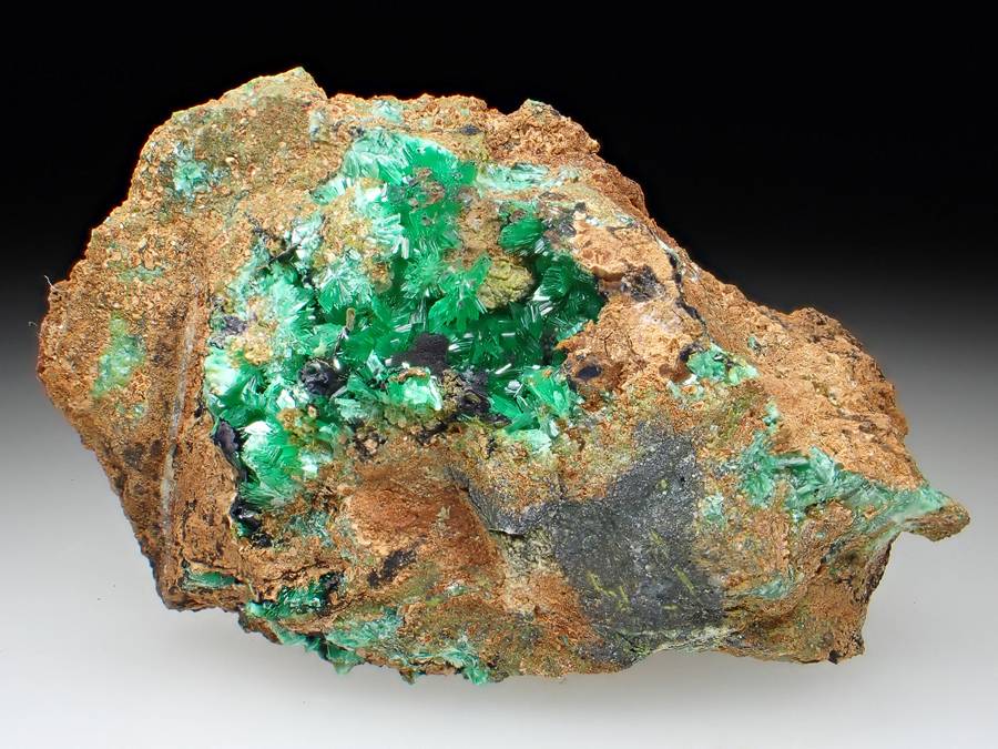 Annabergite