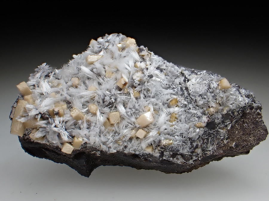 Olmiite & Bultfonteinite