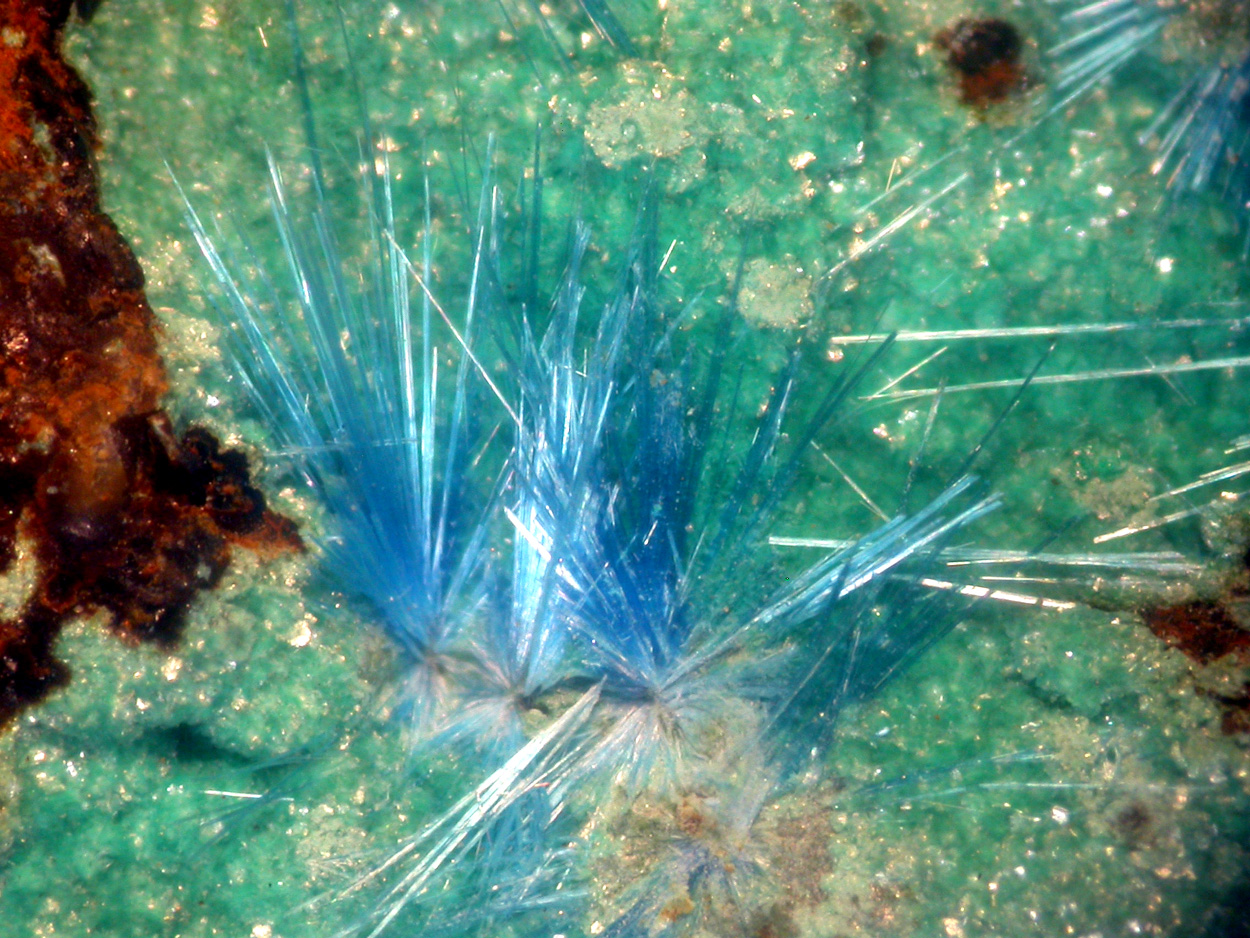 Cyanotrichite & Parnauite
