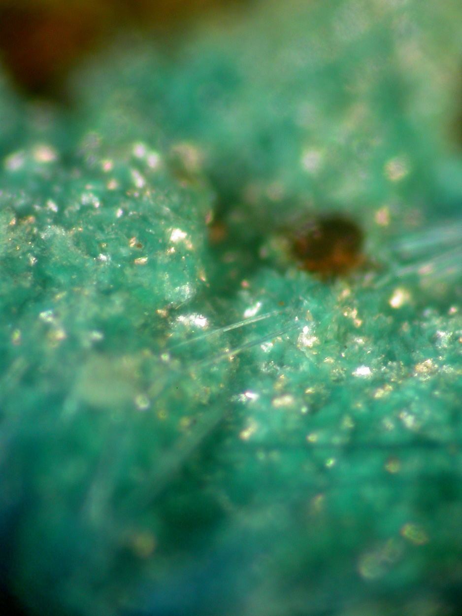 Cyanotrichite & Parnauite