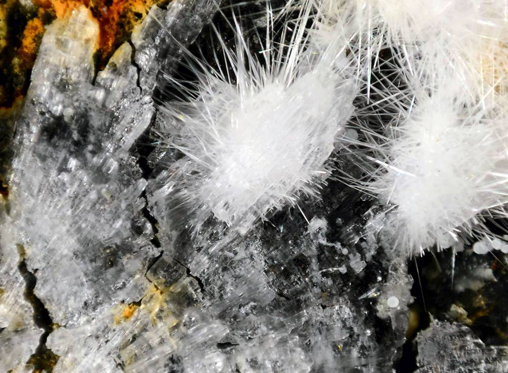 Canavesite Inderite & Dypingite