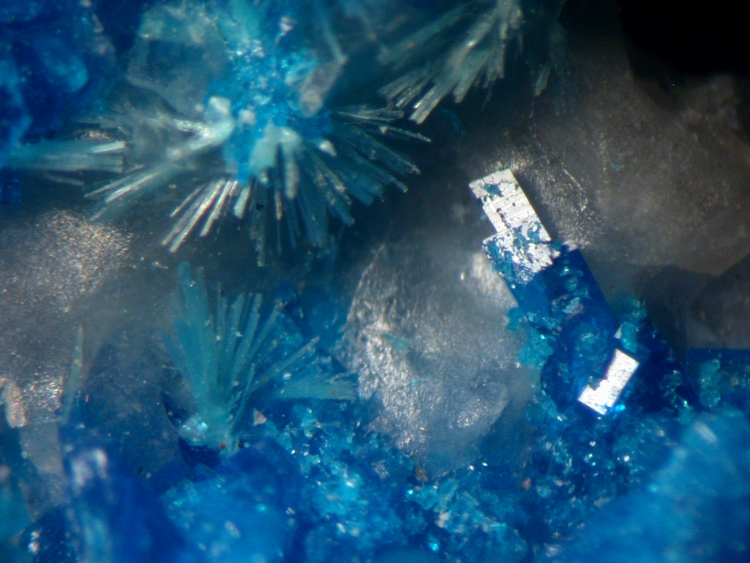 Papagoite & Ajoite