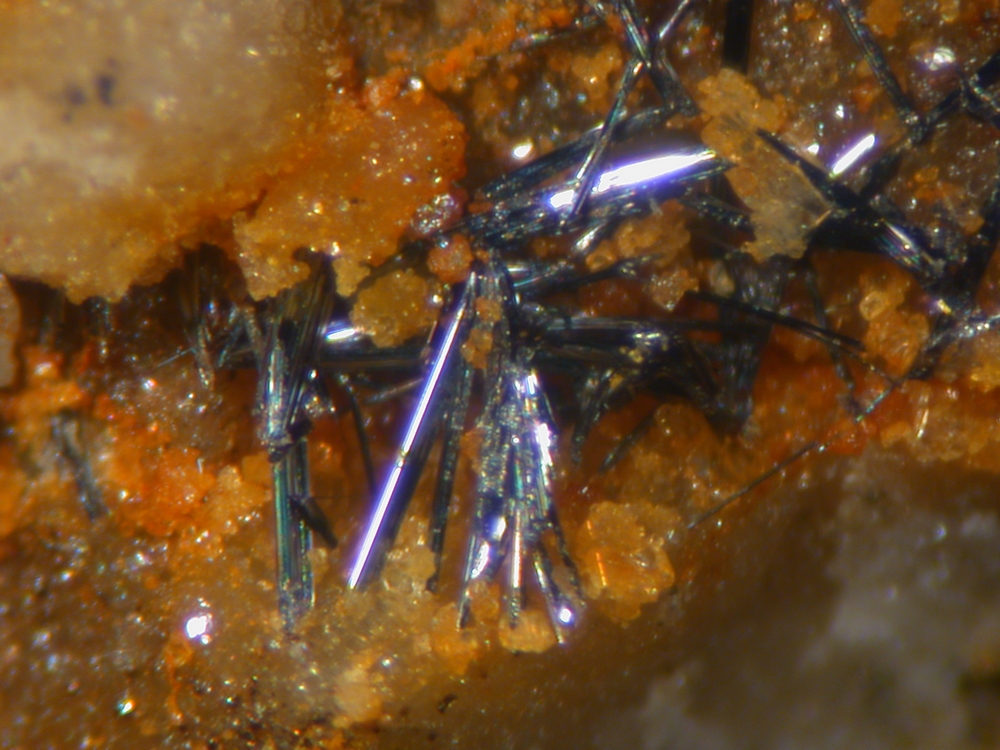 Scainiite