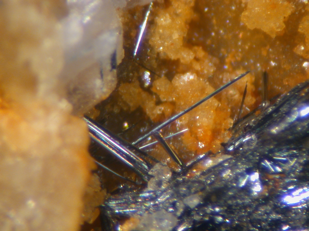 Scainiite