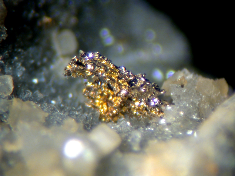 Sylvanite & Gold