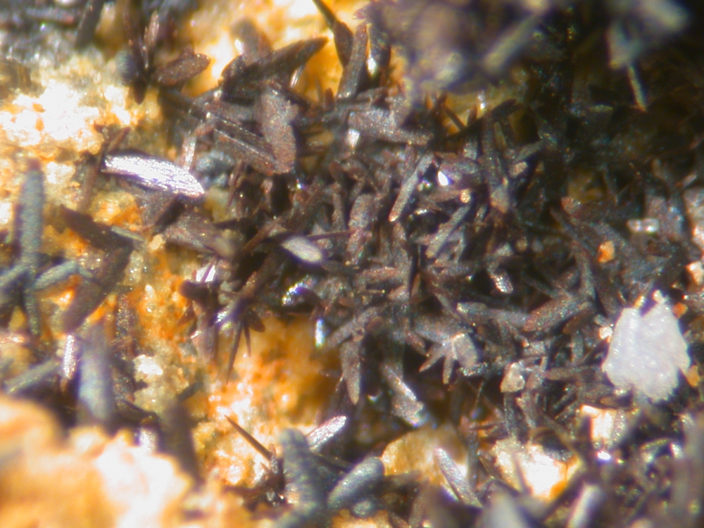 Brackebuschite