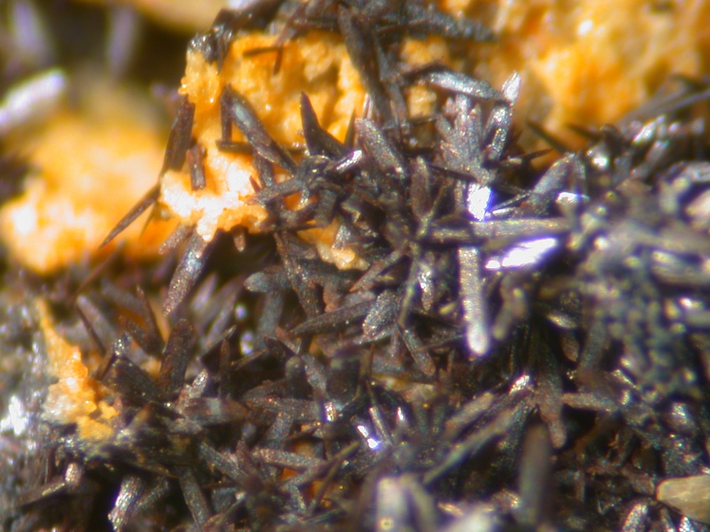 Brackebuschite